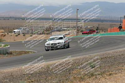 media/May-03-2025-Lucky Dog Racing (Sat) [[206de64b9d]]/Turn 4 B (1150am-130pm)/